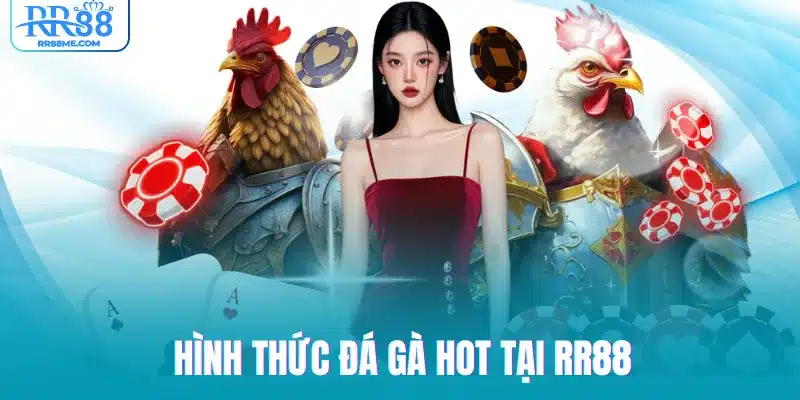 Hình thức đá gà HOT tại RR88